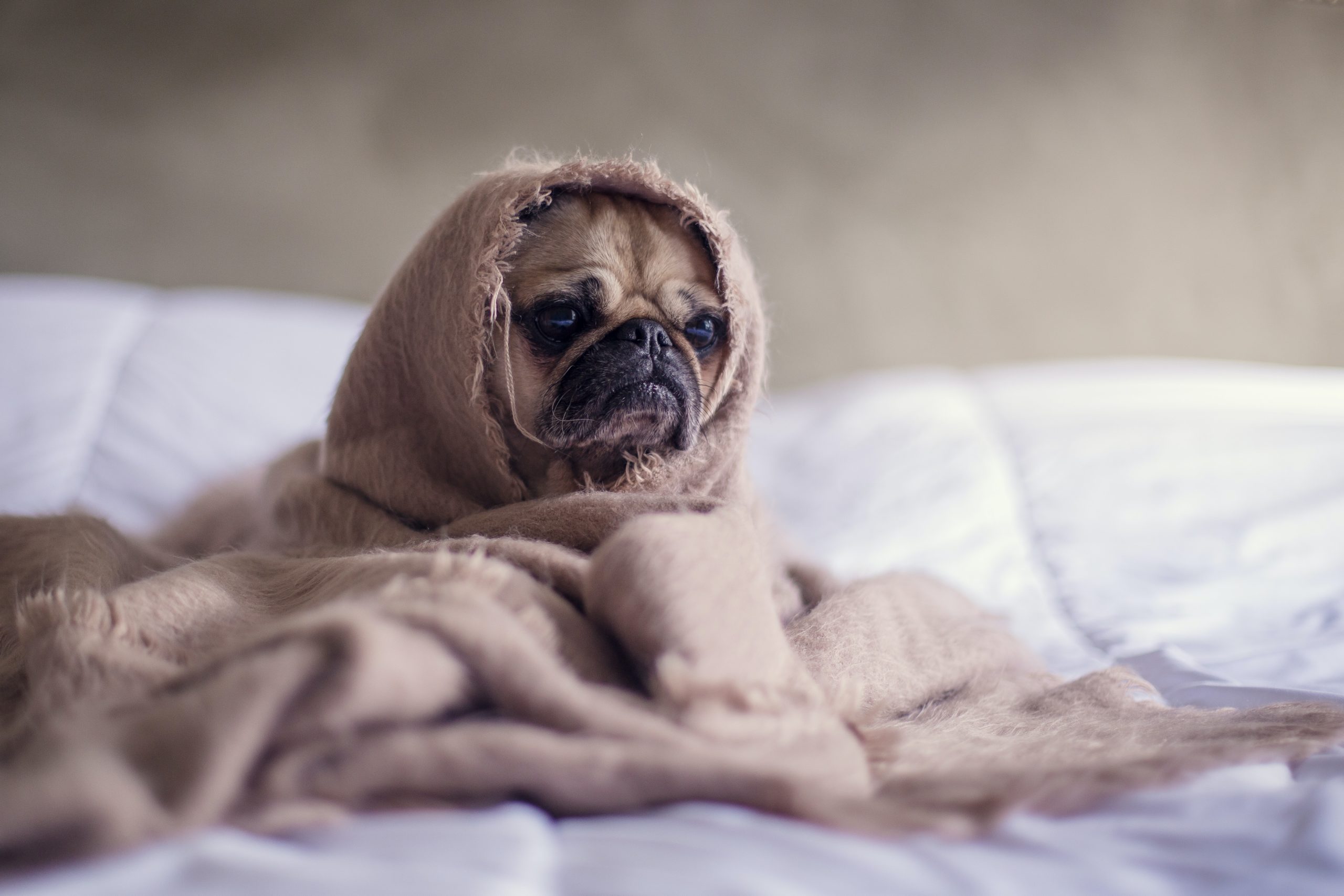 stay sane lockdown