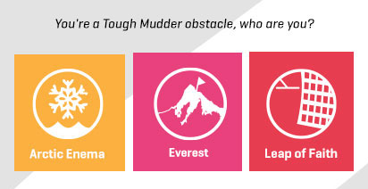 obstacle flavour question