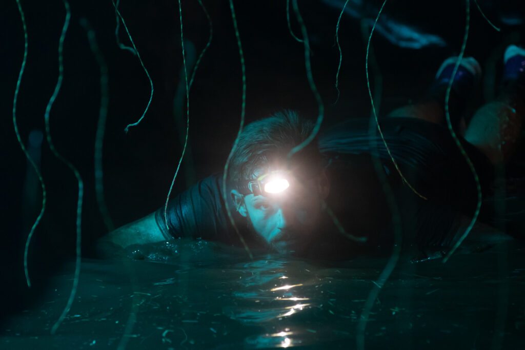 Electric Eel at night